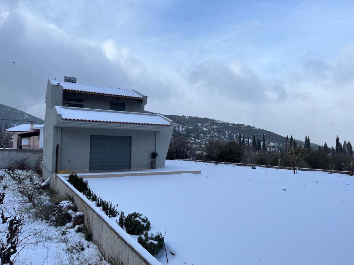 Stellas Guesthouse Near Arachova Stírion Esterno foto