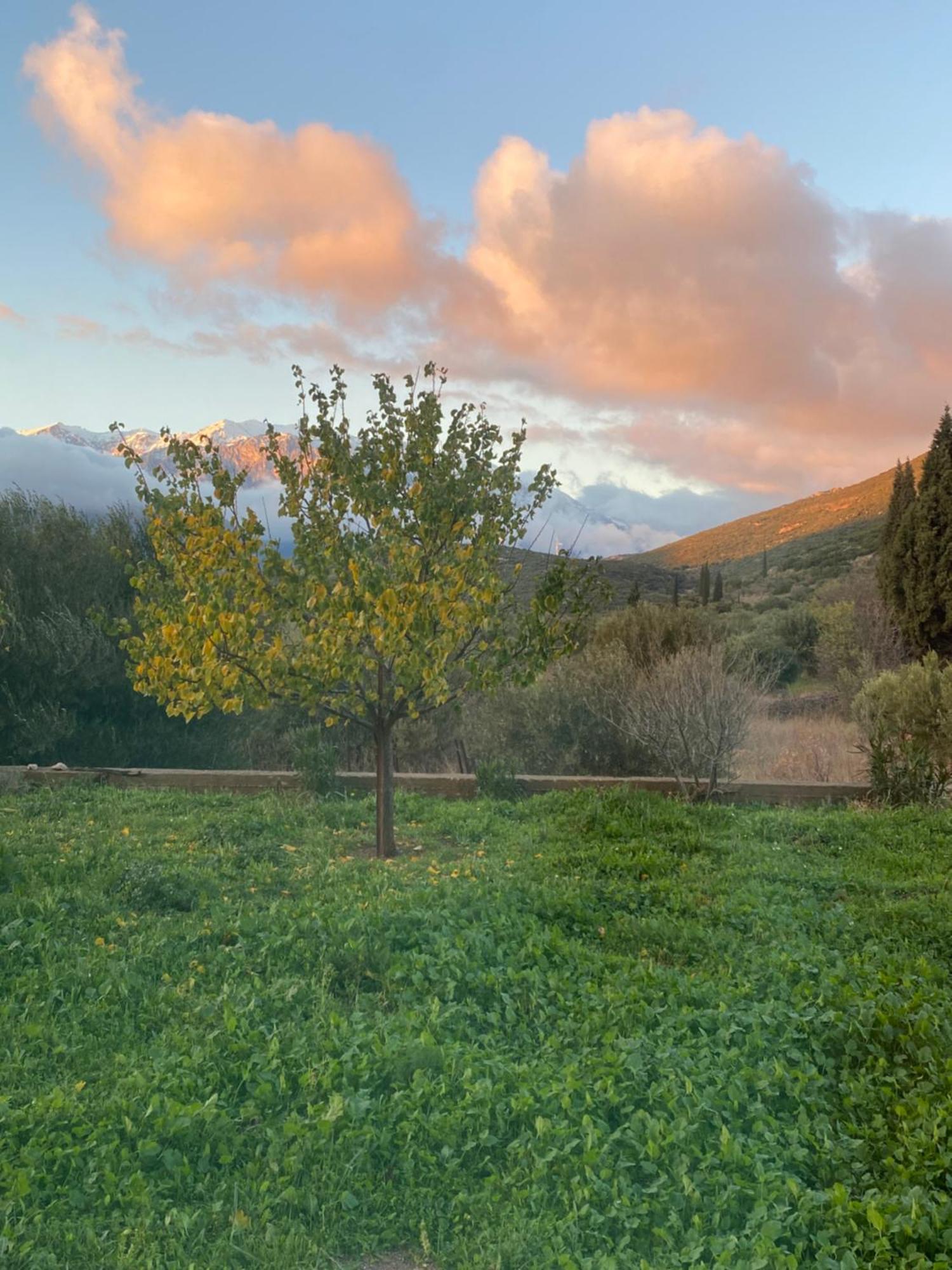 Stellas Guesthouse Near Arachova Stírion Esterno foto